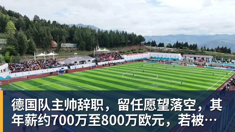 德国队主帅辞职，留任愿望落空，其年薪约700万至800万欧元，若被解雇将获七位数遣散费，德国足协：在沉重打击后，不能让一切简单回归原样