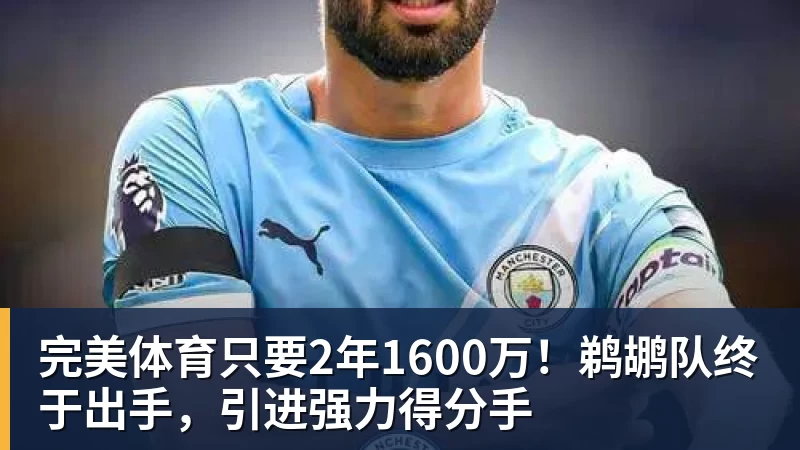 完美体育只要2年1600万!鹈鹕队终于出手,引进强力得分手