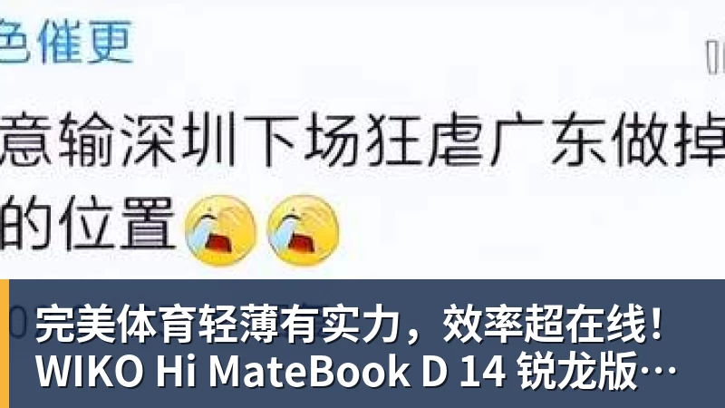 完美体育轻薄有实力,效率超在线!WIKO Hi MateBook D 14 锐龙版正式开售